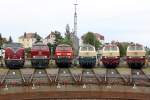 Die V200 116 , 218 387-9 , 225 021-5 , 217 014-0 , 218 105-5 und 217 001-7 beim BW Fest Osnabr�ck am 19,09,10
