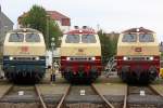 Die 217 014-0 , 218 105-5 , 217 001-7 beim BW Fest Osnabr�ck am 19,09,10