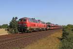 Die 218 344-0 und 218 385-3 in Klanxb�ll am 15,08,12