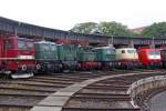 Ein Blick in die Runde , 211 001-3 , E40 128 , E44 507 , E44 108 , E18 31 , 103 184-8 und 120 005-4 beim Sommerfest im DB Museum Halle (Saale) am 02,07,11 
