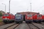 Die MEG 605 ( 143 344-0 ) , RBH 117 ( 143 554-4 ) , 143 929-8 und 112 165-6 beim Sommerfest im DB Museum / DB Regio Werk Halle (Saale) am 02,07,11