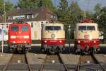 Die 151 164-1 , 103 222-6 und 103 113-7 beim BW Fest Osnabr�ck am 18,09,10