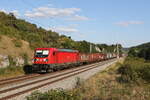 187 191 mit einem gemischten G�terzug am 9. August 2022 bei Hagenacker.