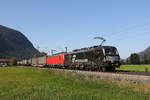 193 702 und 193 311 am 15.