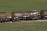 7931 428 (Zacens) von  WASCOSA  am 31.