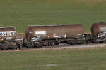 7834 693 (Zacens) von  WASCOSA  am 31.