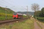 Der 442 501 in Pommern ( Mosel ) am 22.08.2013