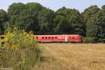 Der 612 014 und 612 159 bei Vienenburg am 25.08.2013