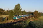 223 071 mit dem  ALEX  aus Hof kommend am 13. Mai 2025 bei Naabdemenreuth.
