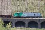 FRET 437010 am 23.5.10 in P�nderich