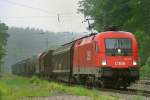 1016 022-4, aufgenommen am 02.06.10, bei der Durchfahrt durch A�ling.