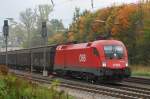 1016 002-6, die  Zweite , aufgenommen am 11.10.12, in A�ling.