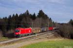 1016 037-2 mit dem EZ 45808 (Villach S�d - M�nchen Nord) am 11.01.2014 bei Grabenst�tt.