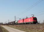 1016 010-9 und 1016 038-2 mit einem gemischten G�terzug am 18.