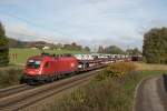 1016 010-1 mit einem Autozug aus M�nchen kommend am 24.