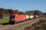 1016 021-8 mit einem gemischten G�terzug am 31.