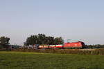1016 002 mit einem gemischten G�terzug am 18.