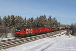 1293 045 und 1016 024 mit einem gemischten G�terzug am 13.