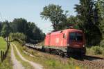 1116 263 mit einem gemischten G�terzug am 12.