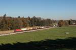 1116 254 mit einem gemischten G�terzug am 3.