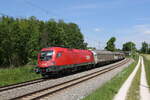 1116 271 mit einem gemischten G�terzug am 2.