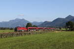 1116 203 aus Salzburg kommend am 2.