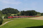 1116 205 aus Salzburg kommend am 13.