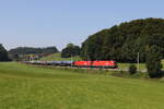 1116 083 und 1116 261 waren am 12.