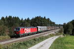 1293 193 mit einem gemischten G�terzug aus Salzburg kommend am 25.