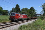 1293 039 mit einem gemischten G�terzug am 15.