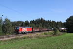1293 093 mit einem gemischten G�terzug aus Salzburg kommend am 7.