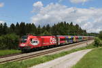 1116 249 mit dem  �FB-Railjet  aus Salzburg kommend am 24.
